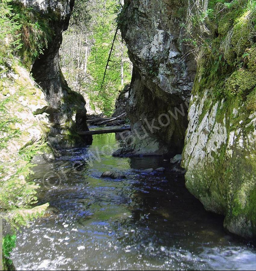 Fewo Bukowina Waldshut-Tiengen Exterior foto